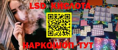 крисы Абакан