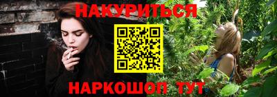 крисы Абакан