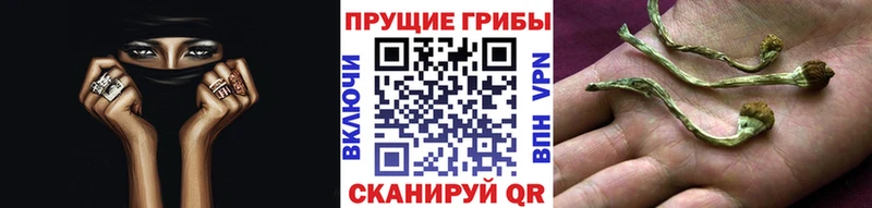 Галлюциногенные грибы мицелий KRAKEN онион Абакан закладки