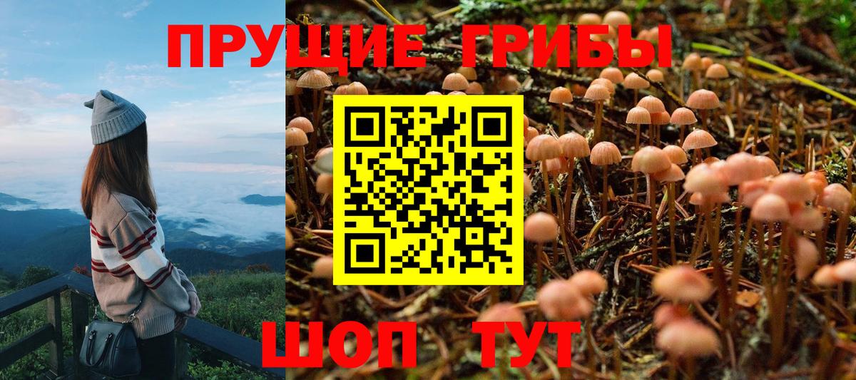 Абакан  закладки  Вход с VPN  Галлюциногенные грибы прущие грибы 