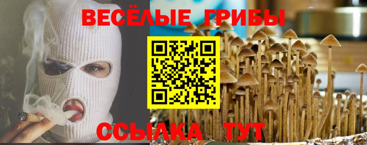 Псилоцибиновые грибы Magic Shrooms  Абакан 