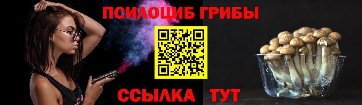 Псилоцибиновые грибы мицелий Абакан